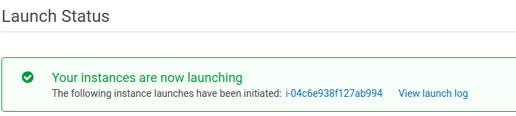 Your instance is launching!